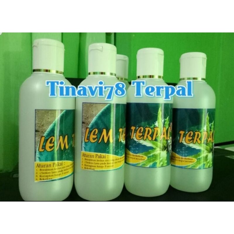 LEM TERPAL SEMI KARET