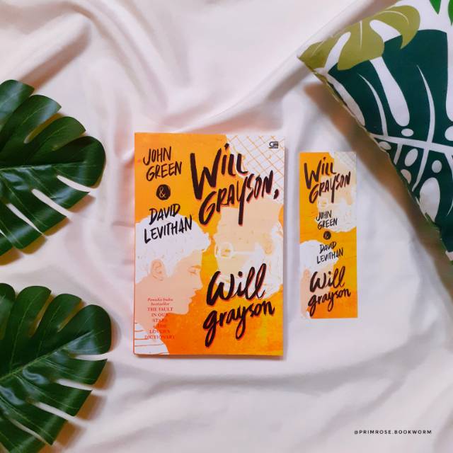 will grayson, will grayson (buku bekas, koleksi pribadi)