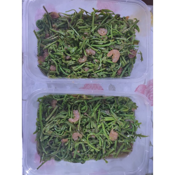 

sayur pakis tumis ebi