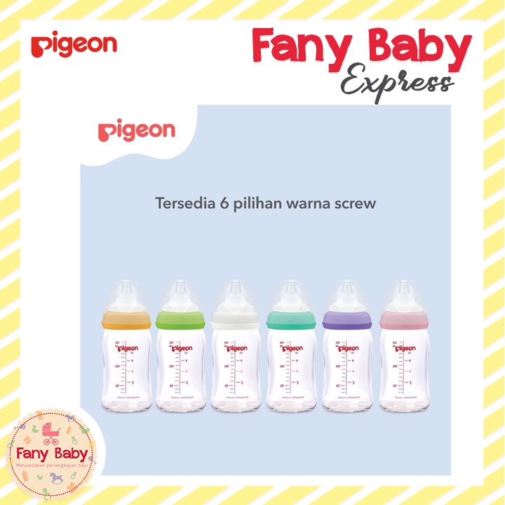 PIGEON BOTOL SUSU PP WIDE NECK 240ML / PR010318