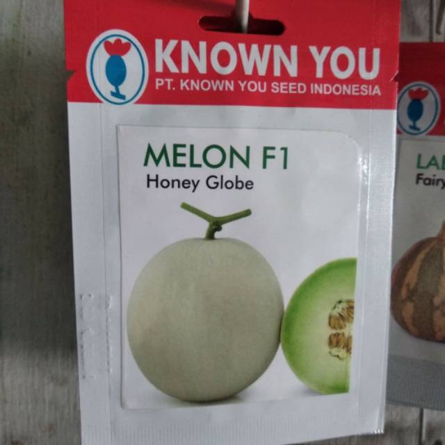 Benih Melon F1 HONEY GLOBE isi 5 biji