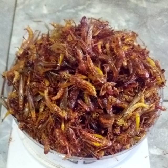 

Belalang Goreng Kecil / Walang Goreng Kecil 200 Gram