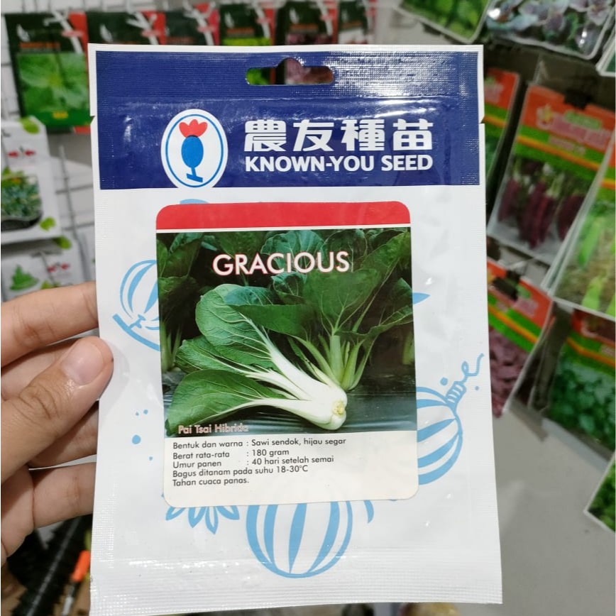 KYS - benih PAKCHOY PUTIH GRACIOUS isi 10 gr - known you seed