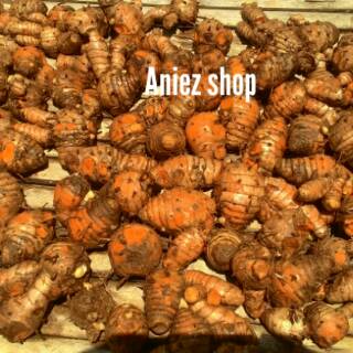 Biang Kunyit segar Induknya kunyit 1 kilo Shopee Indonesia Biang Kunyit segar Induknya kunyit 1 kilo Shopee Indonesia