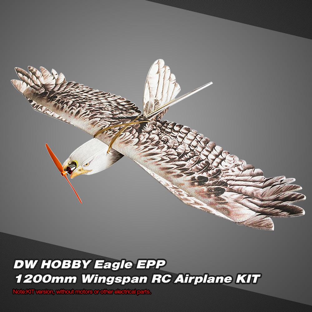 epp eagle rc plane