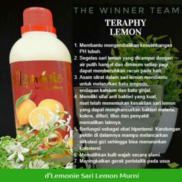 

D'lemonie sari lemon