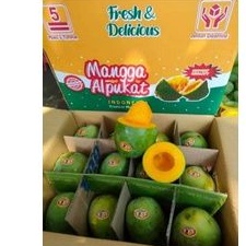 

Mangga Alpukat 5 kg (only grab)