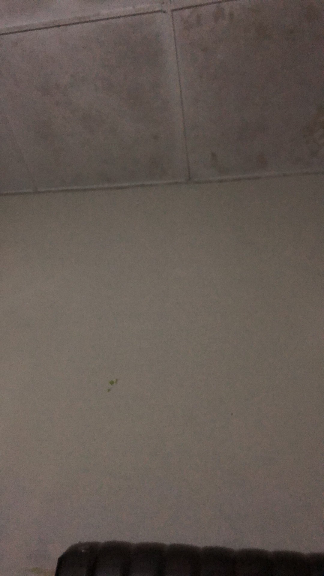 Tempat Keranjang Sampah Medium 25cm