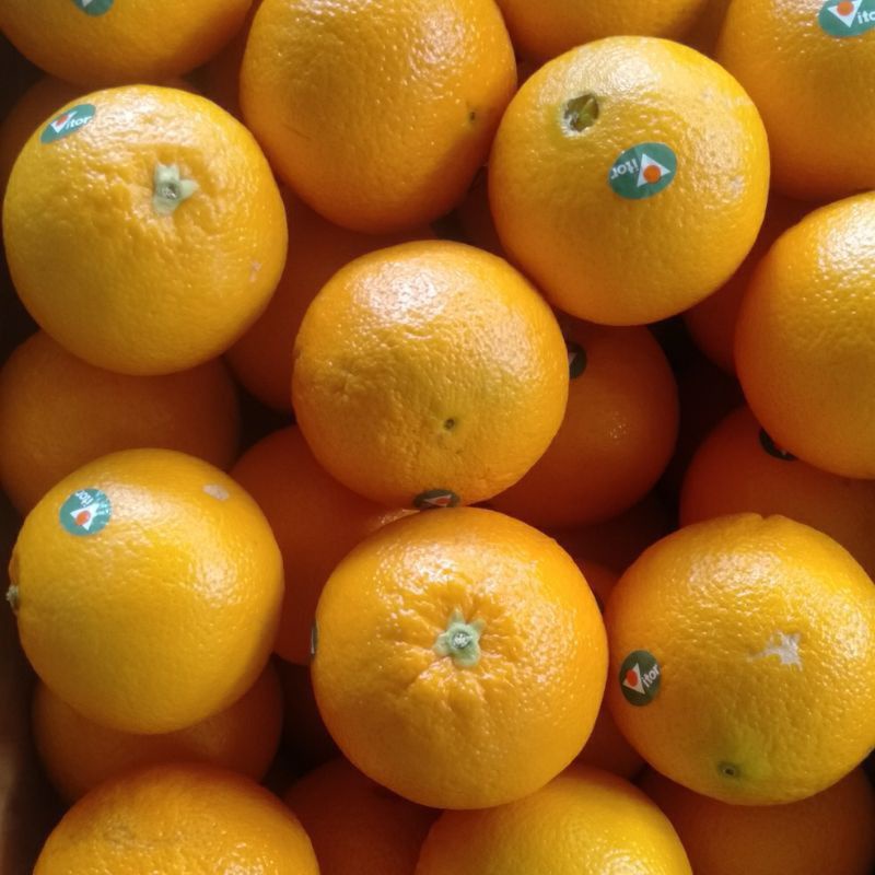 

Sunkist navel