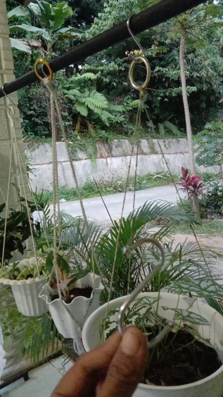 Cantolan S Gantungan Serbaguna Gantungan Barang Hanger Dapur Lemari