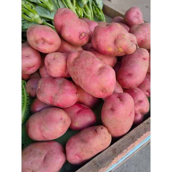 

1KG KENTANG MERAH BERASTAGI FREEH