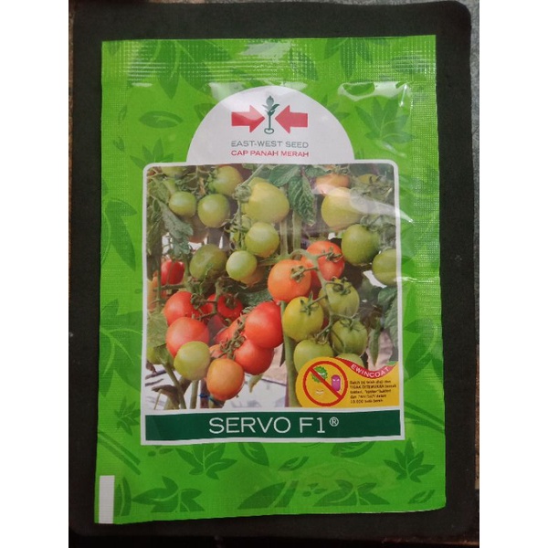 SERVO F1