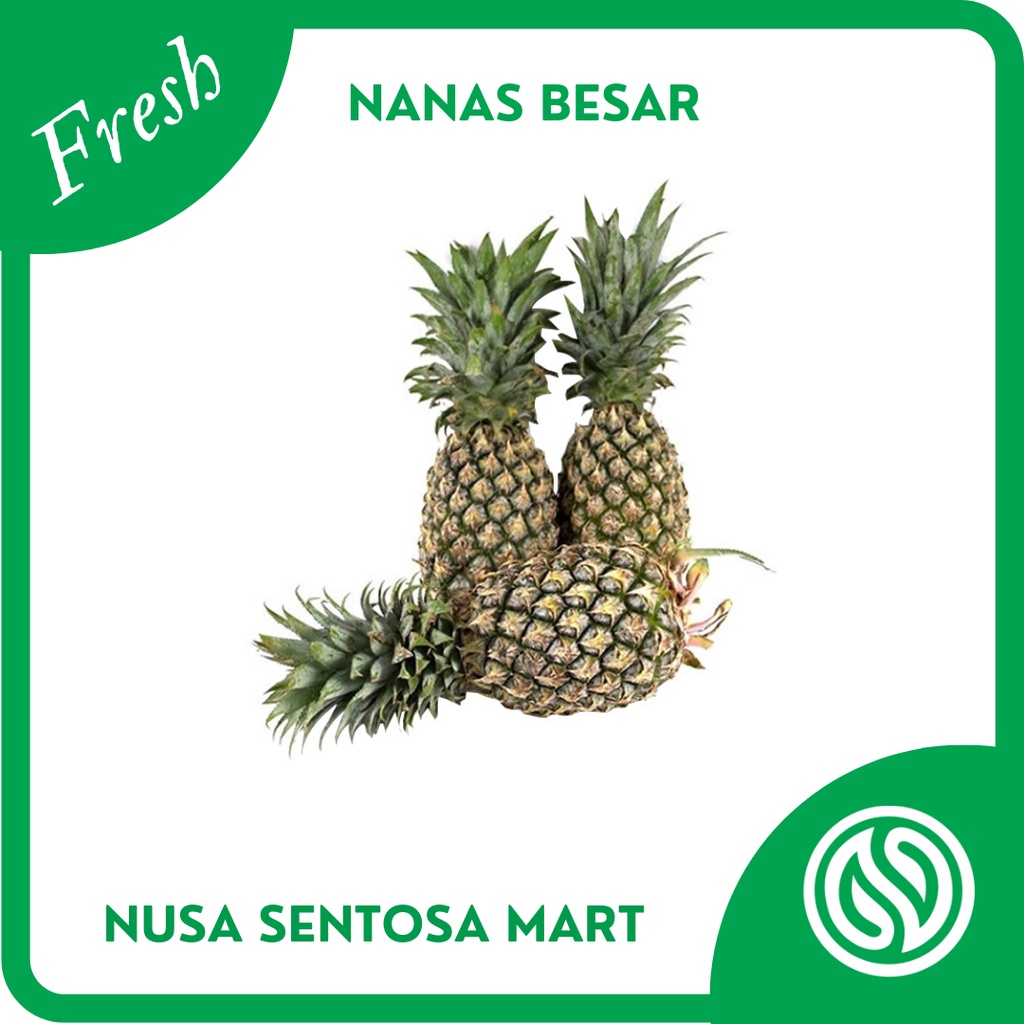 

Buah Nanas Besar Segar – 1 Kg