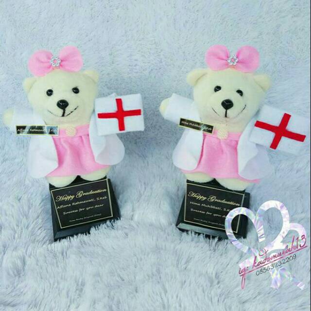 Piala tropi boneka wisuda bidan perawat