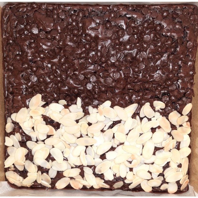 

fudgybrownies20x20