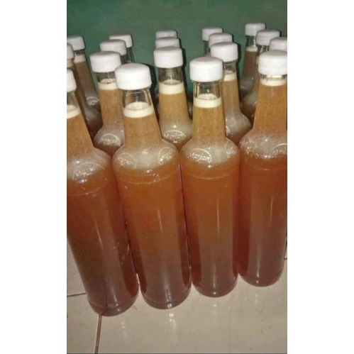 

Madu Herbal Murni Asli 100% Hutan di Pati Berkhasiat Botol Marjan 460 ml