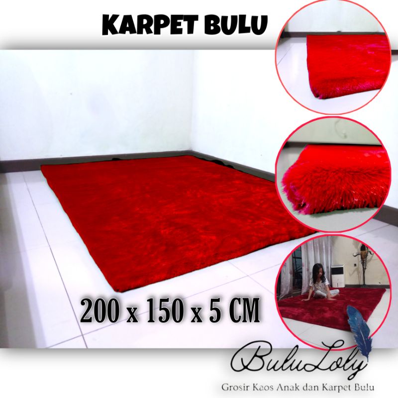 karpet bulu rasfur 200x150x5cm