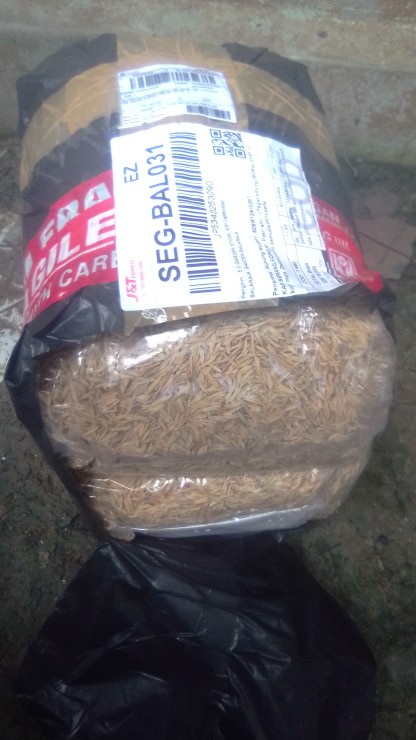 Sekam Padi Murni & Sekam Bakar (repack 500 Gr) | Campuran Media Tanam Kaktus/sekulen/bonsai