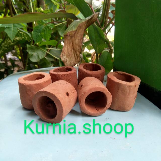  POT  MINI TANAMAN  AIR  AQUASCAPE  Shopee Indonesia