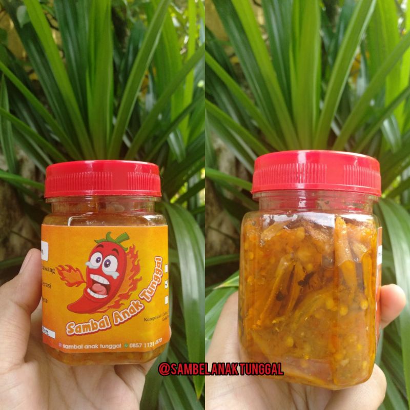 

SAMBEL TERI ANAK TUNGGAL