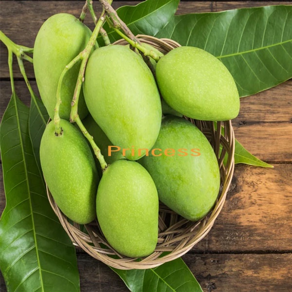 

mangga muda segar 1kg cocok buat yang lagi ngidam (khusus area jawa barat )