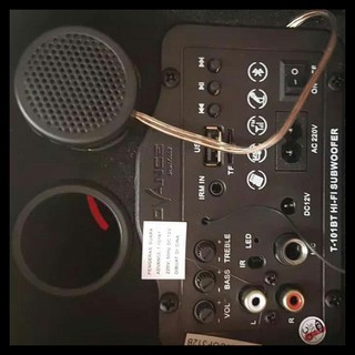 speaker advance 10 inch