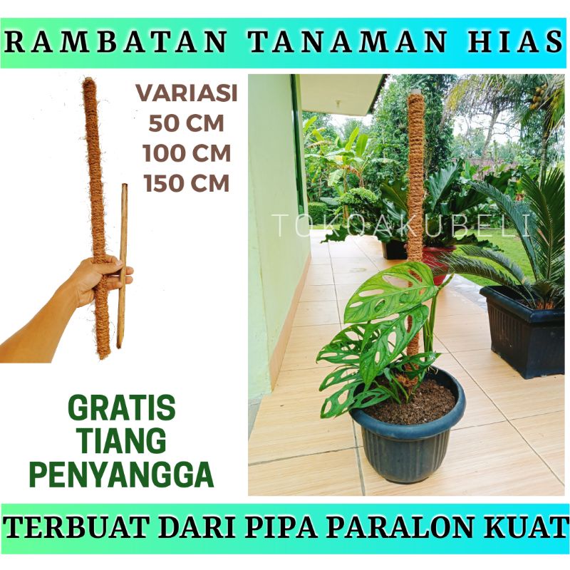turus penyangga tanaman ajir bambu
