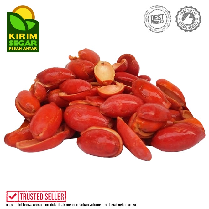 

Kulit Melinjo Segar / Melinjo Kulit / Kulit Melinjo / Melinjo Merah