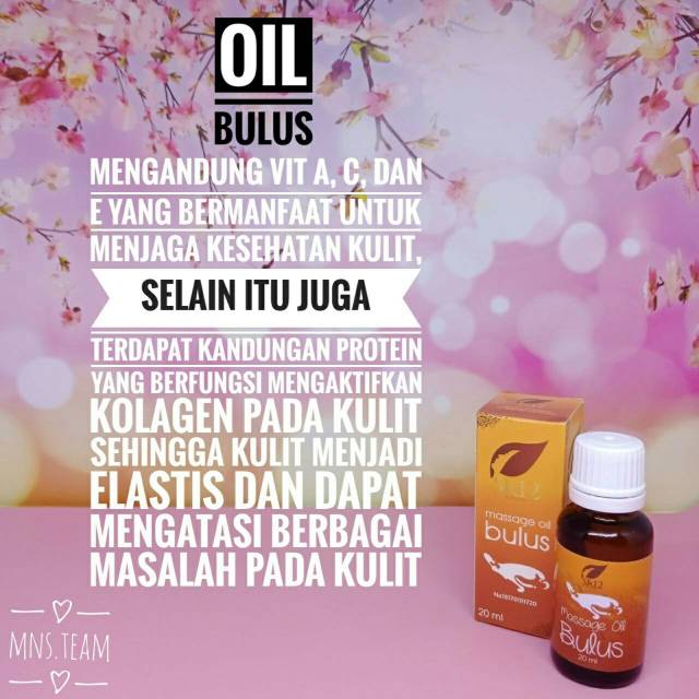 Massage oil bulus SR12 / minyak bulus sr12 / sabun bulus SR12 / bulus soap SR12
