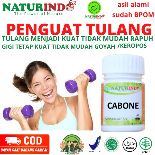 Obat Penguat Tulang Herbal Tulang Rapuh Osteoporosis Pengapuran Ampuh Patah Tulang Retak Penguat Gig