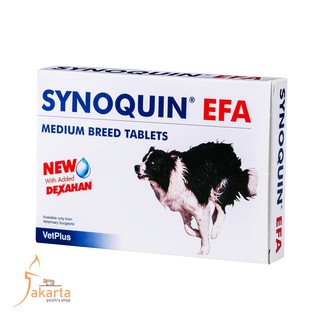 synoquin cat
