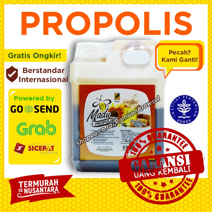 

Madu Propolis 1kg Serambi Botani