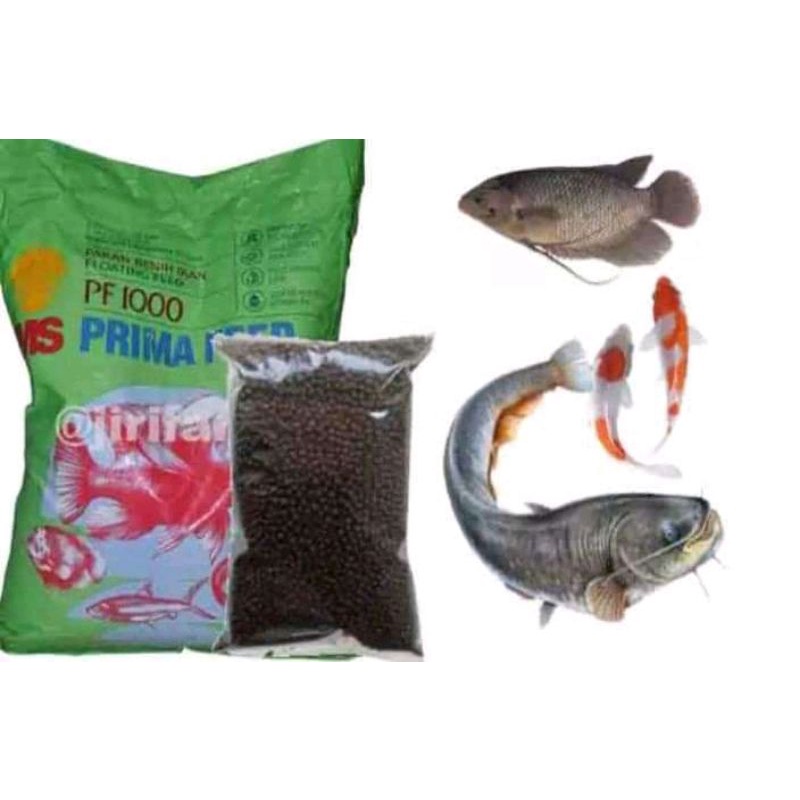 pelet pf1000 pakan ikan lele,patin,ikan mas,tawes,gurami,bawal,ikan cupang dewasa kemasan 1000gr