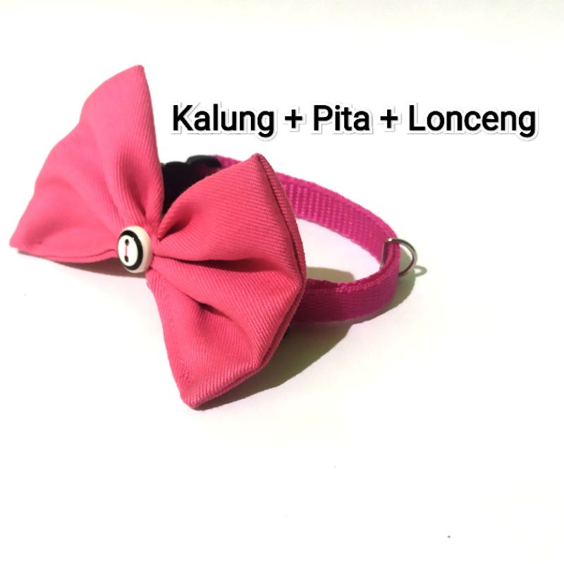 Kalung kucing PITA + LONCENG