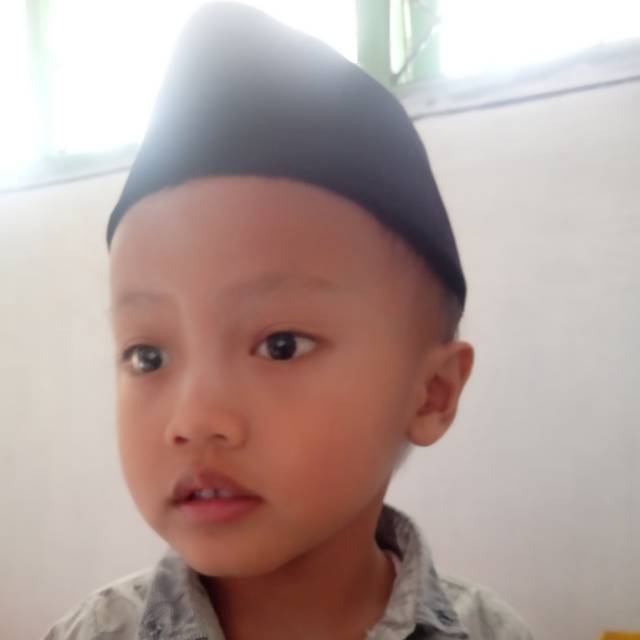 aer_udinn