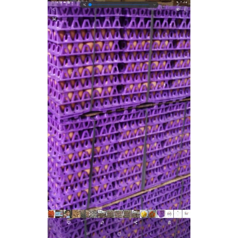 Telur Ayam Negeri 30 Butir/ 1 Tray