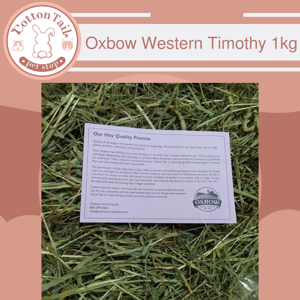 Oxbow WESTERN TIMOTHY Hay , Rumput , Makanan Kelinci Cavy , Repack 1kg