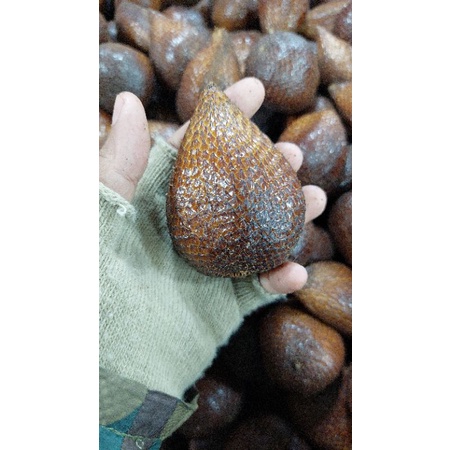 

Buah salak