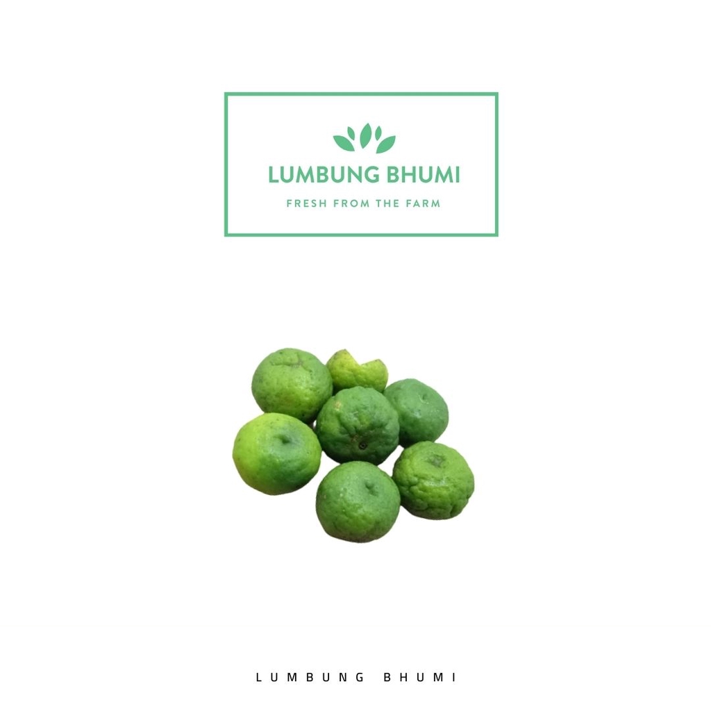 

Lumbung Bhumi - Jeruk Limo 500 Gr ( Sayur Curah )