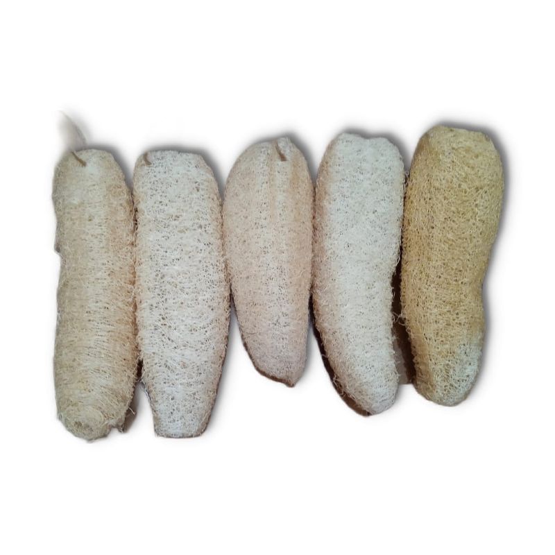 Gambas Loofah Oyong Luffa Sabut Mandi Cuci Piring Natural Alami