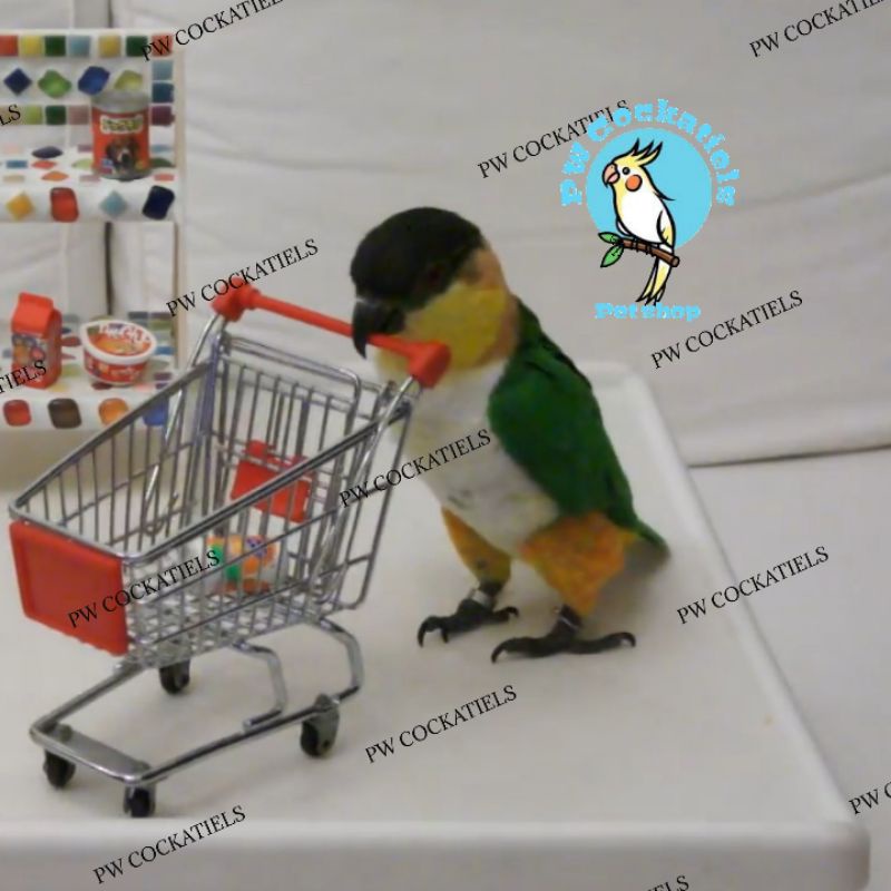 Mainan Troli Burung Parrot Keranjang Trolly Supermarket Mini Cart Trolley
