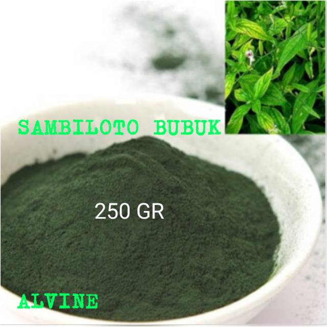 Bubuk-Serbuk Sambiloto Murni Tanpa Campuran 250gr