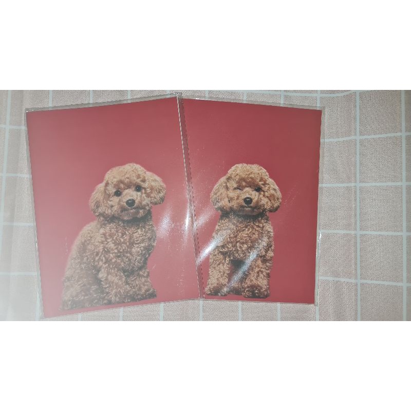 

INFINITE THANK YOU STUDIO NOTEBOOK