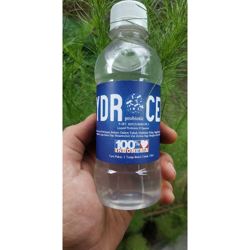 maag, asam lambung, gerd, ulu hati, probiotik hydrocell