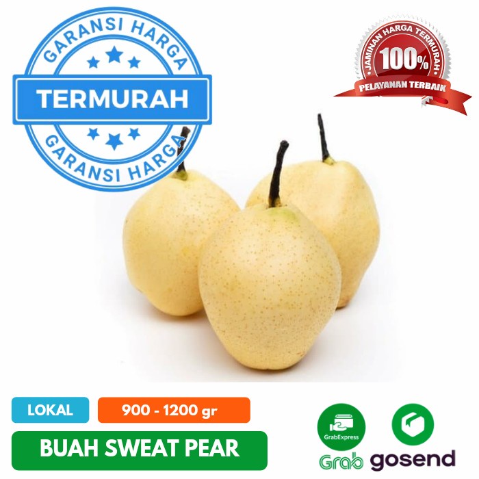 Harga Buah PIR Segar Terbaru November 2021  BigGo Indonesia