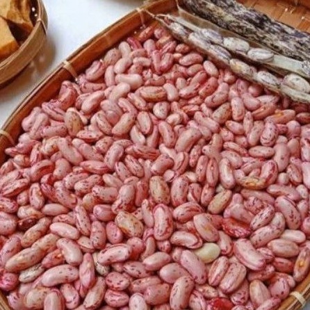 

Kacang Merah Fresh 1 Kg (G.34)