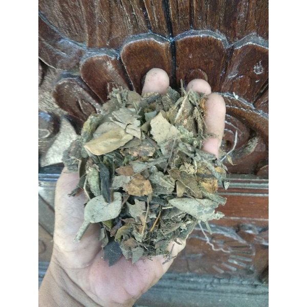 Media Tanam Kompos Daun Trembesi