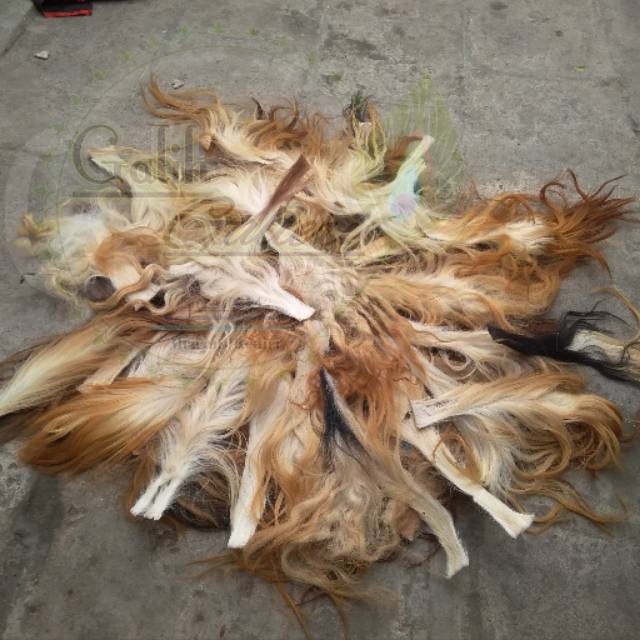 EKOR SAPI TANPA GARAM