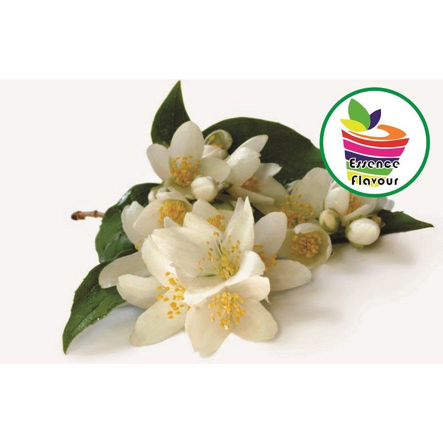 

MAR Bubuk Jasmine Pure Efe 1/2 Kg Essen Flavor Ekstrak Melati Murni Gram Tanpa Gula Flavour Essence