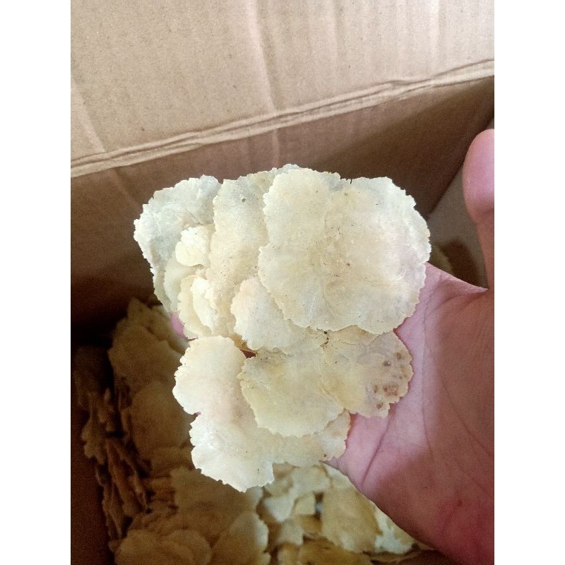 Emping Ceplis Melinjo ASLI!!! 500G Gram Kulon Banten Kualitas Terbaik Tipis Dan Dijamin Mekar Renyah